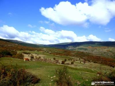 Dehesa Bonita-Abedular Somosierra;sierra de tejeda almijara y alhama sierra del cadi parque natural 